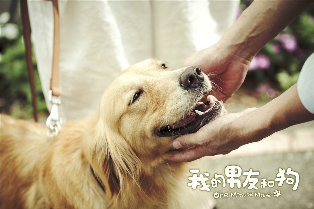 http://www.omega3-ala.com/pics/default/download/4b3477d87f962b065e7fa2341bc210ed.jpg