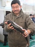 劉樺