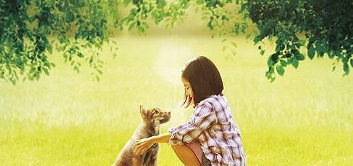 http://www.omega3-ala.com/pics/default/download/4b4dc4661d7596807319ff6cbcc34a1a.jpg
