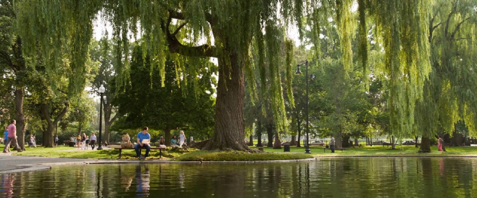 http://www.omega3-ala.com/pics/default/download/4c3cbbad6ca8f474ac505a798db9dcbf.jpg