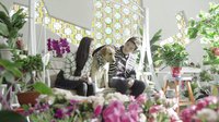 神犬小七 TV版 《神犬小七》資訊之制片人專訪