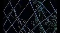 苦籬笆·范琳琳（籬笆·女人和狗）