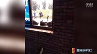 孫儷曬女兒“霸王花”爬門(mén)照 這就是一個(gè)女漢子的日常