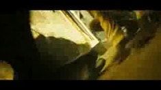 倫敦電影節(jié)預(yù)告片