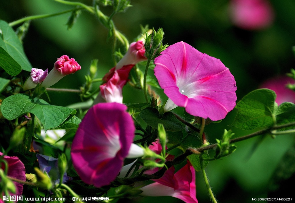 http://www.omega3-ala.com/pics/default/download/4d6eb5c5c3a015845eac8a0c9990372c.jpg