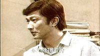 電視劇《渴望》 主題曲（演唱：毛阿敏）