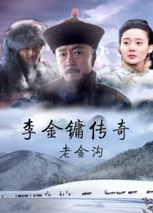 李金鏞傳奇之老金溝
