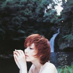 吉井憐