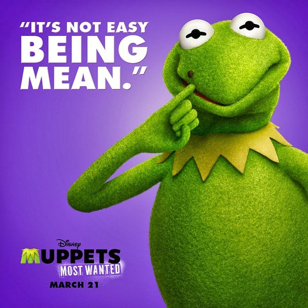 http://www.omega3-ala.com/pics/default/download/4f74d4a137208ec58e50a5b91d75da0f.jpg