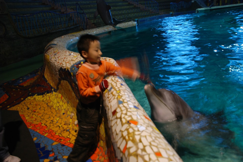 http://www.omega3-ala.com/pics/default/download/505288e325c44ea516974d8f20846563.jpg