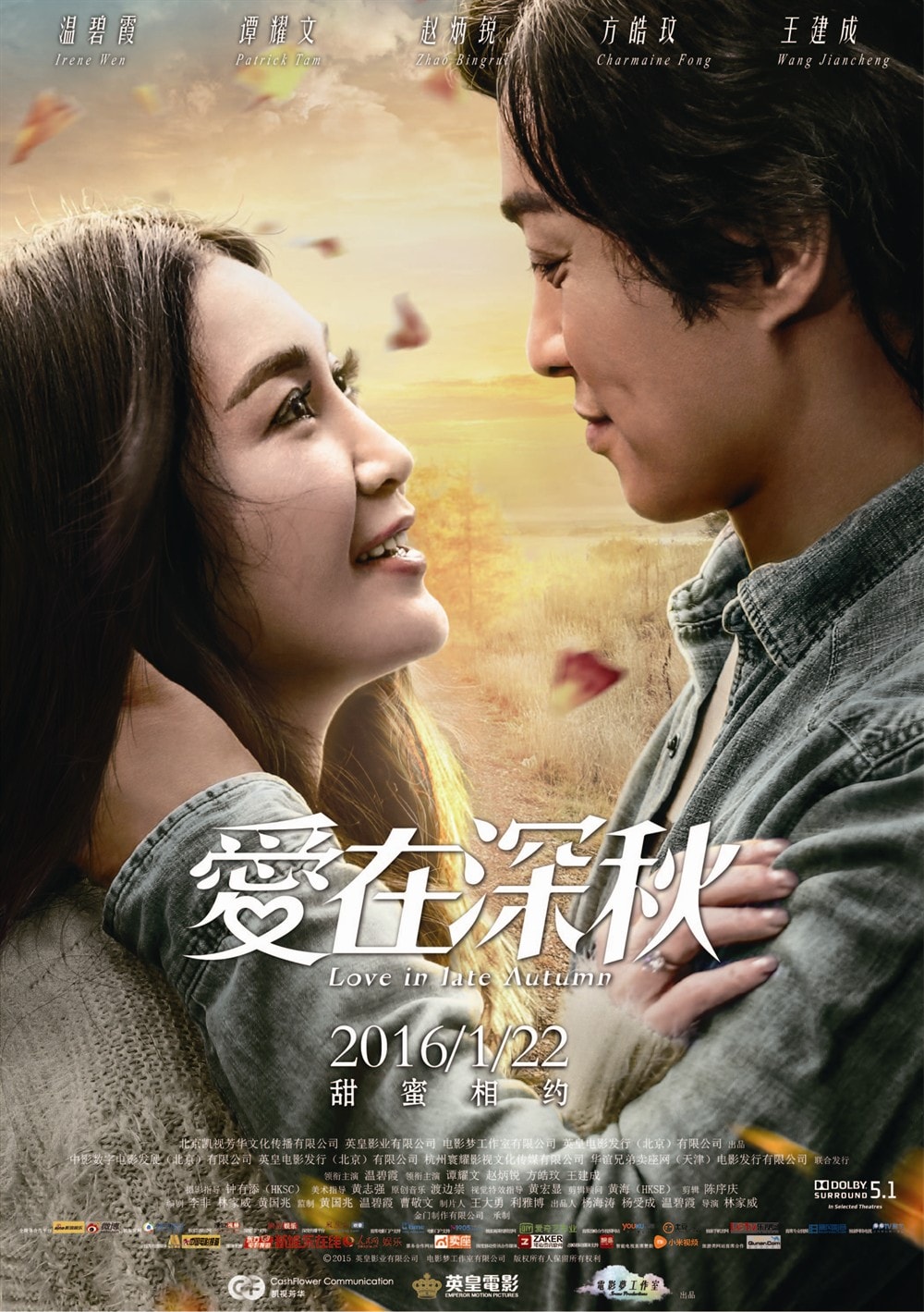 愛在深秋 高清海報