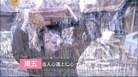 山東影視《當人心遇上仁心》宣傳片香木虎版
