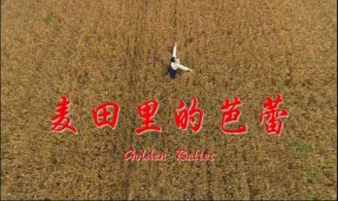 http://www.omega3-ala.com/pics/default/download/511bc5b0b37e9dd95ebe29724738b8f7.jpg