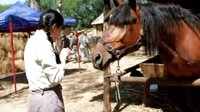 《生死連》花絮 牛麗燕對馬講戲