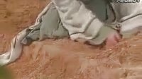問世間情為何物，只叫人生死相隨
