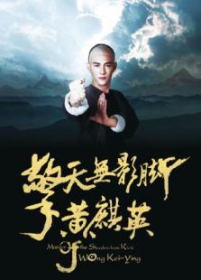 擎天無(wú)影腳黃麒英