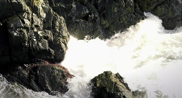http://www.omega3-ala.com/pics/default/download/52ee4d4e38b505b53aa553b944ddfa4f.jpg