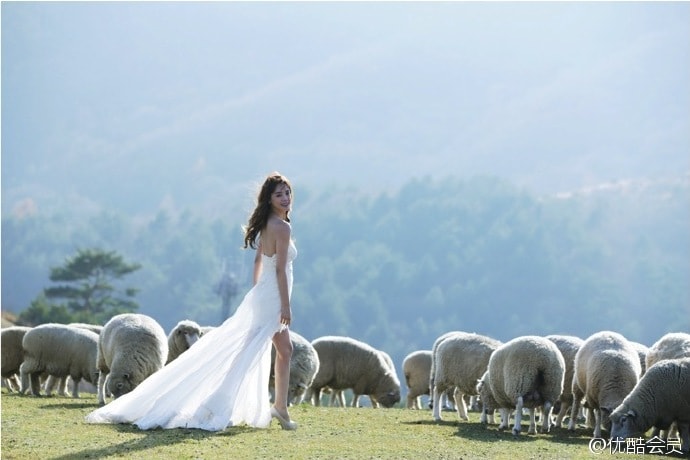 http://www.omega3-ala.com/pics/default/download/536a7be0edaf2daf55aed26494a49aaa.jpg