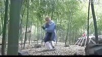 少林寺傳奇II之十三棍僧救唐王(片尾曲_林志穎 )