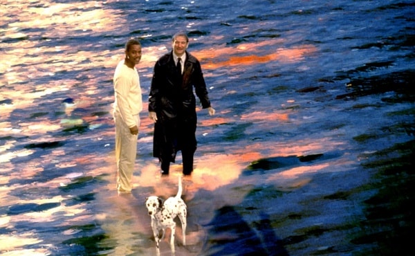 http://www.omega3-ala.com/pics/default/download/54a9d35c20cd528232e60a2a91518d97.jpg