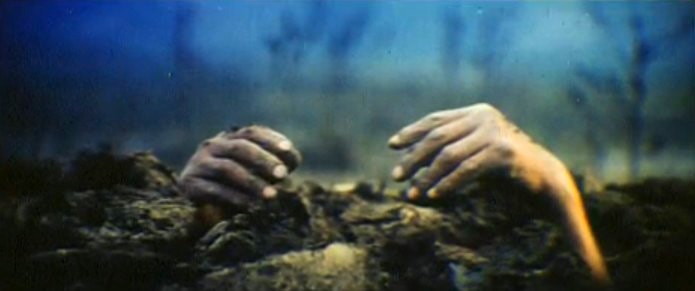 http://www.omega3-ala.com/pics/default/download/54d840d4c79c50e0287159ff90b3aa4a.jpg