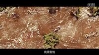美國災難大片 海嘯奇跡 高清2分16秒預告片  8月29日上映