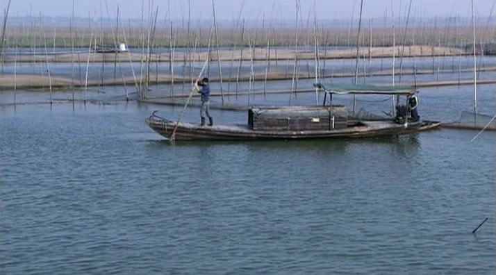 http://www.omega3-ala.com/pics/default/download/555db85cb8fa34a7aad571c8d6abccca.jpg