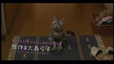 電視宣傳片