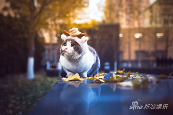 http://www.omega3-ala.com/pics/default/download/564e934071e49e8e2153c62d45491e1d.jpg