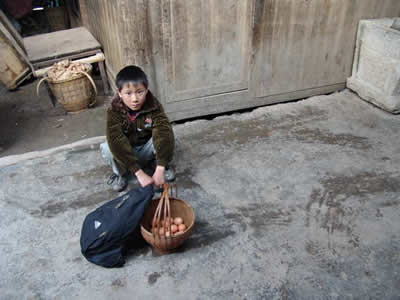 http://www.omega3-ala.com/pics/default/download/56ffb2a75b5129b240f812c77f10d68c.jpg