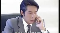 再續意難忘95集上