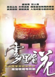 霧里看花
