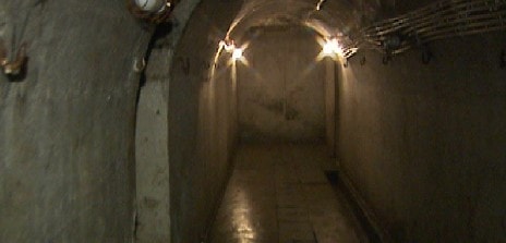http://www.omega3-ala.com/pics/default/download/5835b3c7f366319c914647a3f8c117f1.jpg