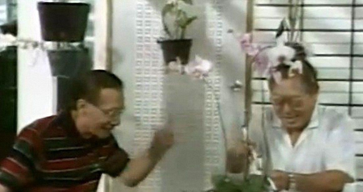 http://www.omega3-ala.com/pics/default/download/586bfe519f3601319e25b0d6b31c7840.jpg