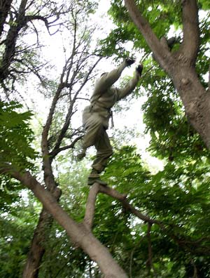 http://www.omega3-ala.com/pics/default/download/586f/65f1a183691680a96908a9f2a347.jpg