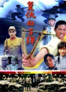 復(fù)仇的子彈