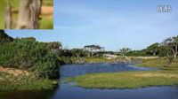 風(fēng)景 佛教 國度