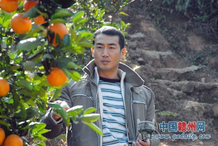 http://www.omega3-ala.com/pics/default/download/596befbe3d4ce7d704bee9ed66339b0d.jpg