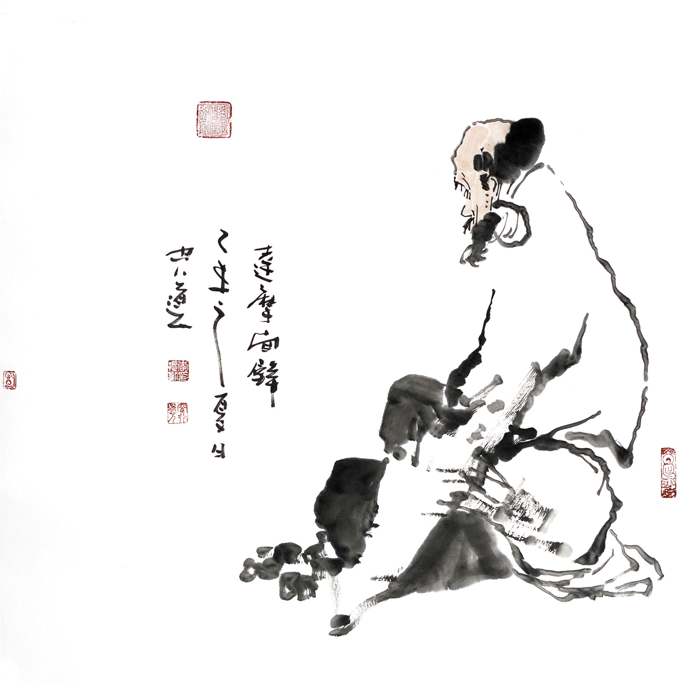 http://www.omega3-ala.com/pics/default/download/59d94eaa04ee699307529a4e64883a1c.jpg