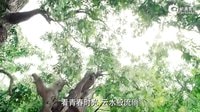 《馬向陽下鄉記》片花片段（背景樂：李琦《追夢者》）