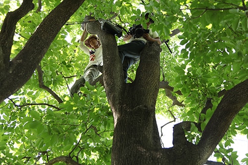 http://www.omega3-ala.com/pics/default/download/5aab7f66607b491acb7f375218048a6b.jpg
