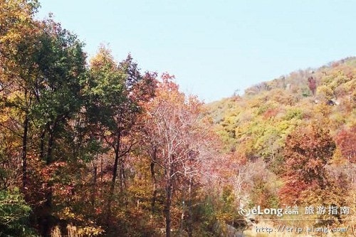 http://www.omega3-ala.com/pics/default/download/5ab631e4f3e5d5798a77abcdffd31a8d.jpg