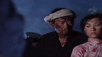 皎潔的月亮秋圣