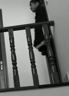 與另一條狗
