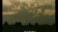 解曉偉 心里一根藤纏樹 電視劇《轆轤女人和井》插曲_標清