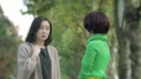 電視劇《我的前半生》靳東、馬伊琍主演#大魚FUN制造#