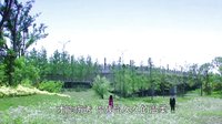 《長在面包樹上的女人》光蕙牽手安小祿