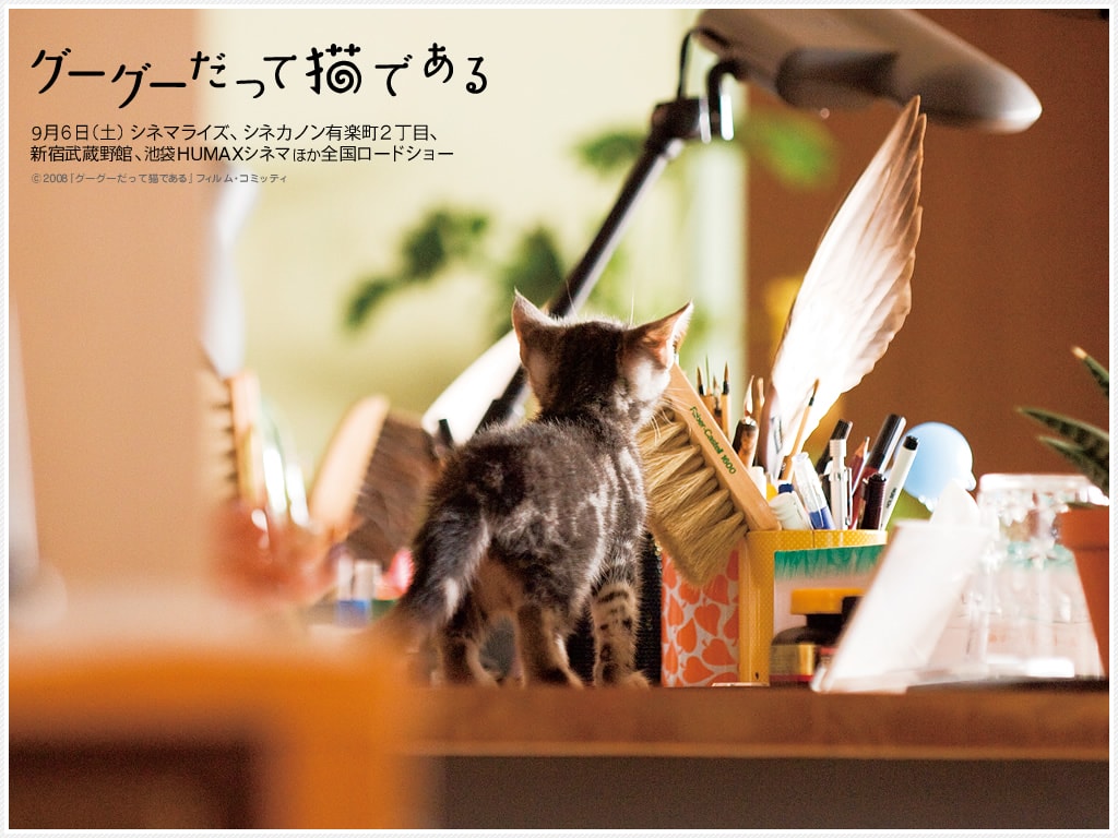 http://www.omega3-ala.com/pics/default/download/5c6063706e9ae440ffd307422b076111.jpg