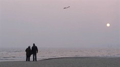 預告片