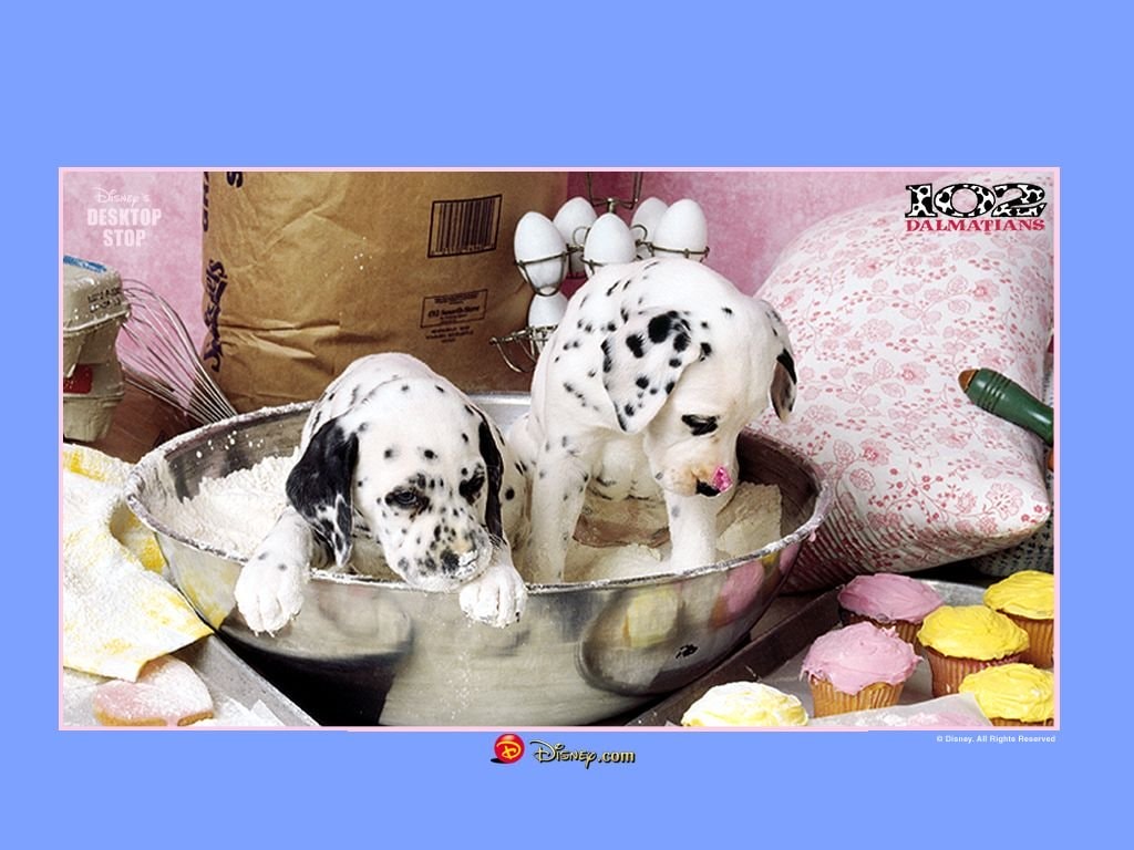 http://www.omega3-ala.com/pics/default/download/5d30bfa4a5536ae826bcf7aafcbb392f.jpg